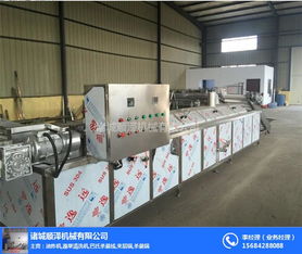 雞爪生產線哪家好 東莞雞爪生產線 諸城順澤機械